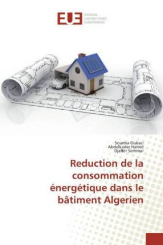 Kniha Reduction de la consommation énergétique dans le bâtiment Algerien Soumia Oukaci