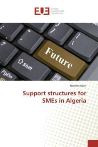 Könyv Support structures for SMEs in Algeria Nassima Bouri
