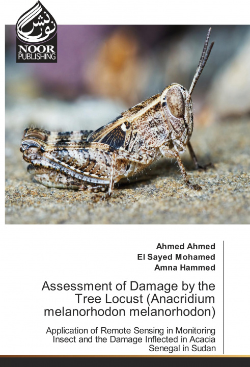 Könyv Assessment of Damage by the Tree Locust (Anacridium melanorhodon melanorhodon) Ahmed Ahmed