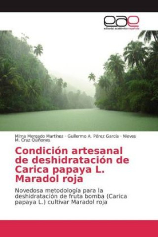 Kniha Condición artesanal de deshidratación de Carica papaya L. Maradol roja Mirna Morgado Martínez