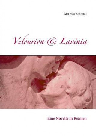 Kniha Velourion & Lavinia Mel Mae Schmidt