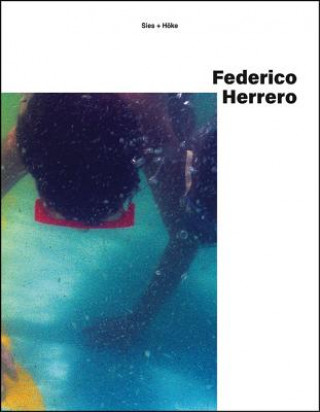 Kniha Federico Herrero Federico Herrero