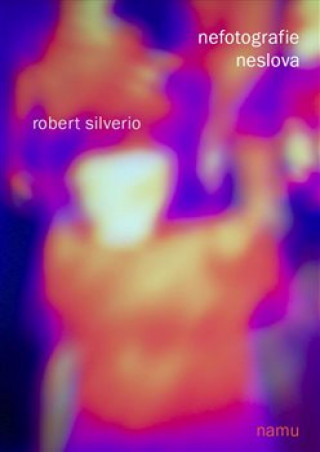 Könyv Non-photographs, non-words Robert Silverio