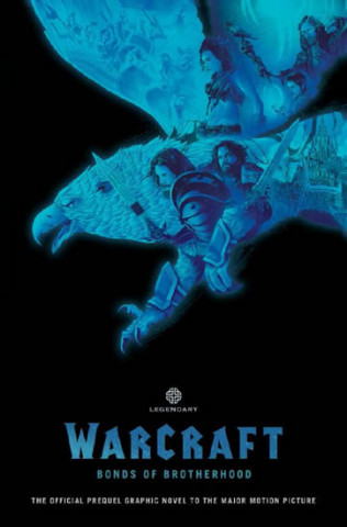 Knjiga WarCraft Pouta bratrství Metzen Chris