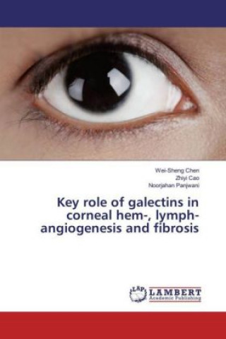 Kniha Key role of galectins in corneal hem-, lymph-angiogenesis and fibrosis Wei-Sheng Chen