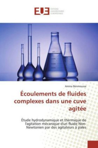 Kniha Écoulements de fluides complexes dans une cuve agitée Amine Benmoussa