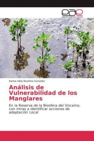 Książka Análisis de Vulnerabilidad de los Manglares Karina Alely Bautista Gonzalez