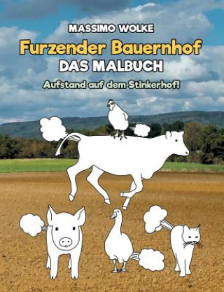 Könyv Furzender Bauernhof - Das Malbuch Massimo Wolke