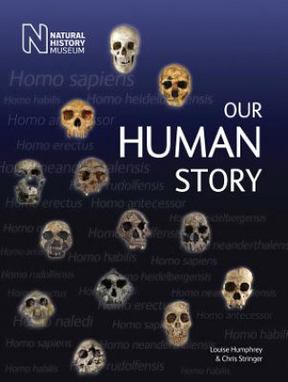 Kniha Our Human Story Chris Stinger