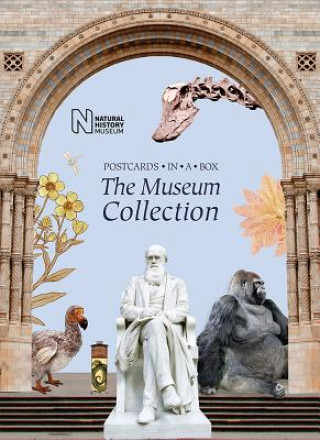Materiale tipărite Museum Collection 