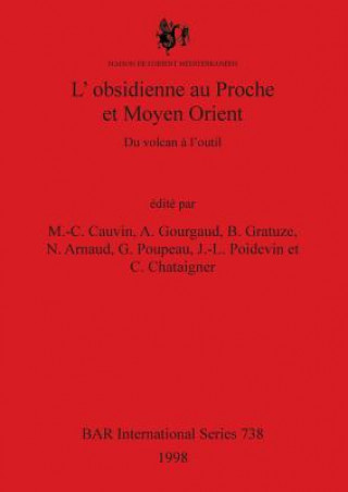 Kniha L'obsidienne au Proche et Moyen Orient M. -C. Cauvin