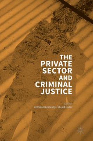 Kniha Private Sector and Criminal Justice Anthea Hucklesby
