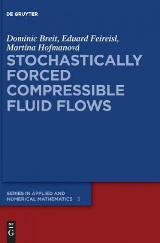 Kniha Stochastically Forced Compressible Fluid Flows Dominic Breit