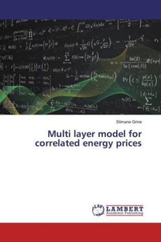 Kniha Multi layer model for correlated energy prices Slimane Grine