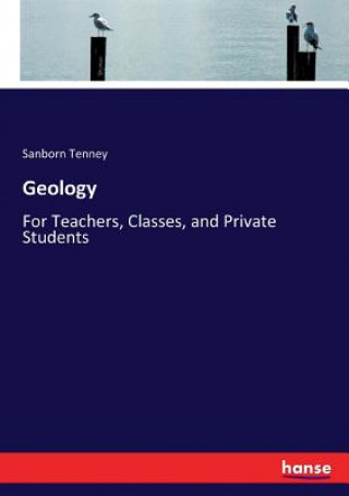 Książka Geology Sanborn Tenney