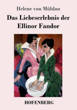 Buch Liebeserlebnis der Ellinor Fandor Helene von Mühlau