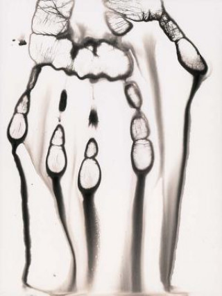 Knjiga Gunnar Smoliansky: Hands Gunnar Smoliansky