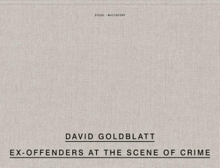 Könyv David Goldblatt: Ex Offenders at the Scene of Crime David Goldblatt