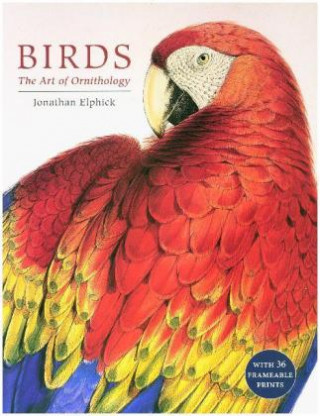 Книга Birds Jonathan Elphick