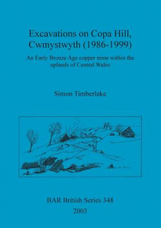 Kniha Excavations on Copa Hill, Cwmystwyth (1986-1999) Simon Timberlake