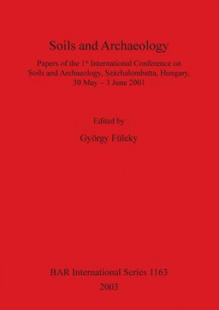 Kniha Soils and Archaeology György Füleky