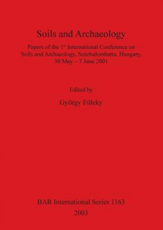 Buch Soils and Archaeology György Füleky