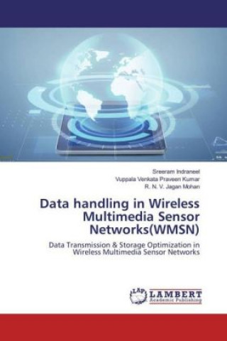 Książka Data handling in Wireless Multimedia Sensor Networks(WMSN) Sreeram Indraneel