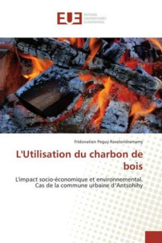 Книга L'Utilisation du charbon de bois Fridonatien Peguy Ravelondramamy