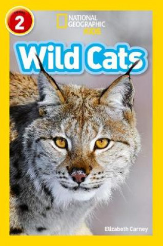 Buch Wild Cats Elizabeth Carney