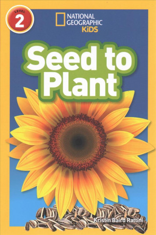 Kniha Seed to Plant Kristin Baird Rattini