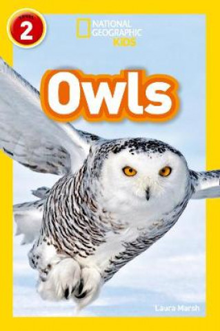 Kniha Owls Laura Marsh