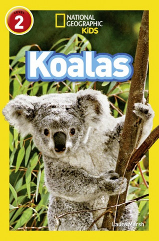Kniha Koalas Laura Marsh