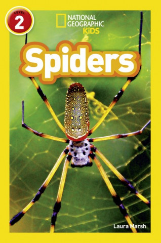 Kniha Spiders Laura Marsh