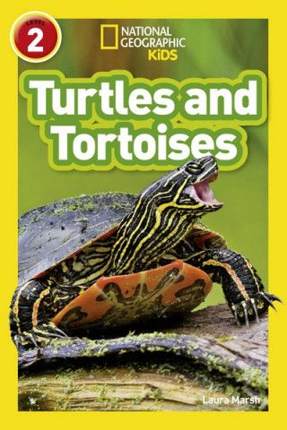 Knjiga Turtles and Tortoises Laura Marsh