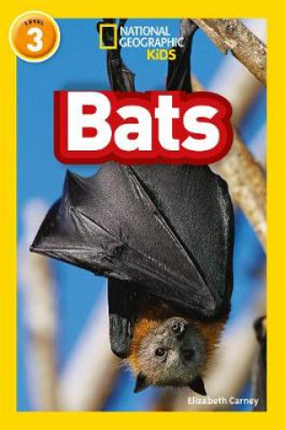Knjiga Bats Elizabeth Carney