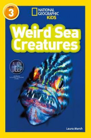 Carte Weird Sea Creatures Laura Marsh