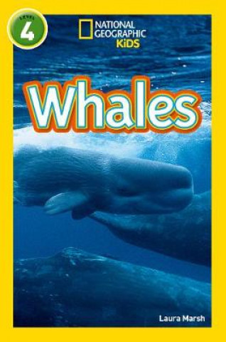 Könyv Whales Laura Marsh