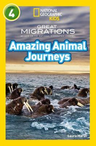 Carte Amazing Animal Journeys Laura Marsh