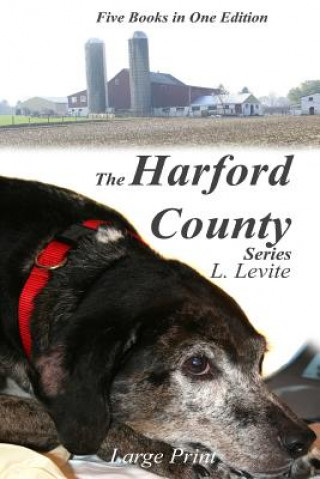 Kniha Harford County Series Large Print Lewis Levite