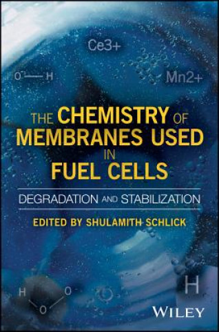 Kniha Chemistry of Membranes Used in Fuel Cells - Degradation and Stabilization Shulamith Schlick