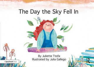 Buch Day the Sky Fell In Juliette Ttofa