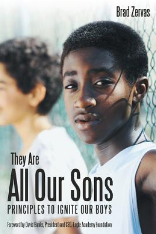 Book They Are All Our Sons BRAD ZERVAS