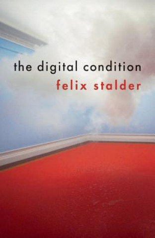 Boek Digital Condition Felix Stalder