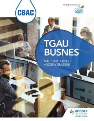 Kniha CBAC TGAU Busnes (WJEC GCSE Business Welsh-language edition) Malcolm Surridge