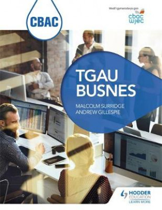 Book CBAC TGAU Busnes (WJEC GCSE Business Welsh-language edition) Malcolm Surridge