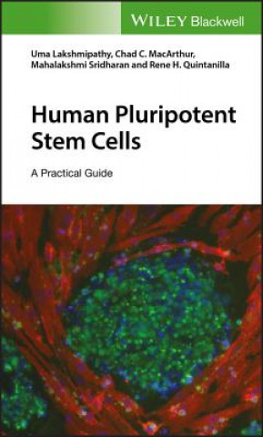 Livre Human Pluripotent Stem Cells Uma Lakshmipathy