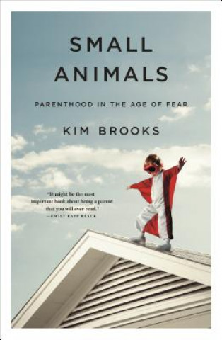 Kniha Small Animals Kim Brooks