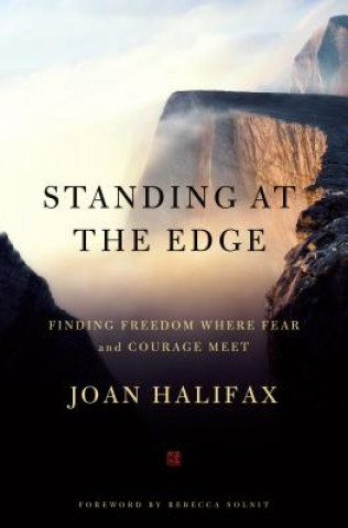 Kniha Standing at the Edge Joan Halifax