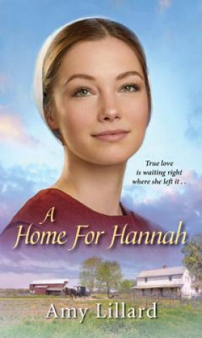 Kniha Home for Hannah Amy Lillard