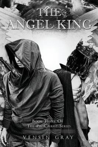 Kniha Angel King Vensin Gray